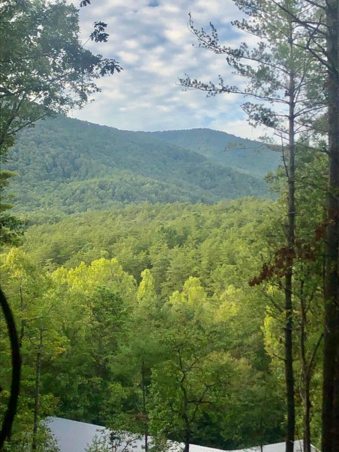 Mountain-Top Cabin Get-Away With Hot Tub And A View Sautee Nacoochee 外观 照片