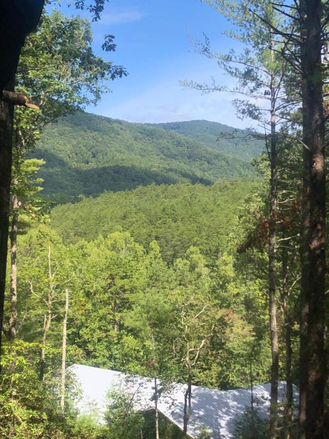 Mountain-Top Cabin Get-Away With Hot Tub And A View Sautee Nacoochee 外观 照片
