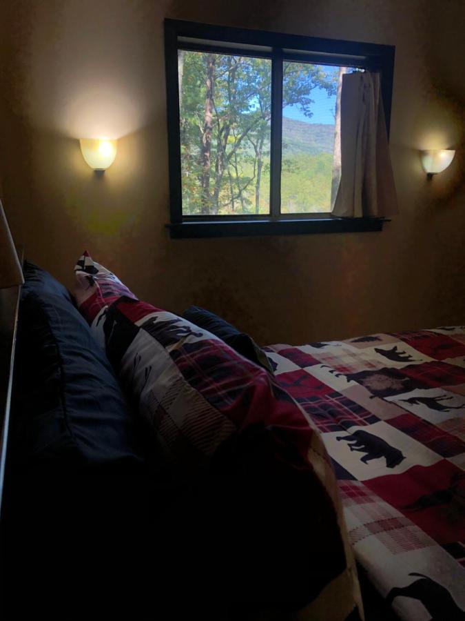 Mountain-Top Cabin Get-Away With Hot Tub And A View Sautee Nacoochee 外观 照片